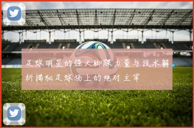 足球明星的强大脚踝力量与技术解析揭秘足球场上的绝对主宰