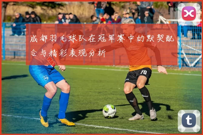 成都羽毛球队在冠军赛中的默契配合与精彩表现分析